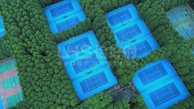 三亿体育.(中国)官方网站专业网球场地面是什么材料(图1)